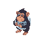 adult chimpance with a collar of a mirror ball