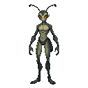 slender and athletic humanoid, but with clear insect characteristics