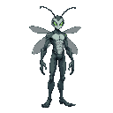 slender and athletic humanoid, but with clear insect characteristics, without antennas