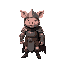 pig knight