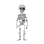 full bodied skeleton