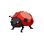 a cute ladybug