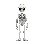 skeleton