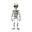 skeleton