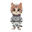 a cat with a space suit