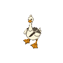duck with a knife walking