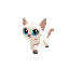 white siamese cat with blue eyes running seen from the side as in a scrolling game