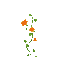 geometric pattern, green vine with orange flower