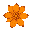 orange flower petals, top down, illustrative