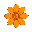 orange flower petals, top down, illustrative
