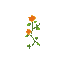 geometric pattern, green vine with orange flower