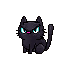 um gato preto muito preto mais bravo 