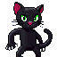 um gato preto muito preto