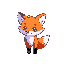 little cute fox