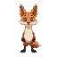 cute fox