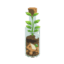 plant in a bottle