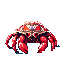 cristal hermit crab