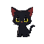 one cat darkness world
