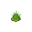 grass
