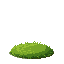 grass without ground with details 