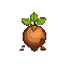 herb 