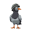 clumsy funny pigeon with military helmet looking right direction. pixelart 