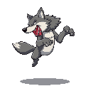 jumping wolf with aggressive stance