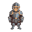 a knight 