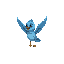 blue bird flying