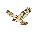 flying hawk, detailed, side view, white outline