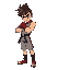 fighter
