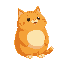 a fat orange cat