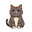 a fat organge cat