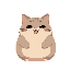 a fat organge cat