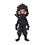 ninja