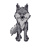 gray wolf