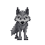 gray wolf with small head and see front