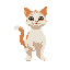 a cute cat with white and orange colors