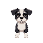 a cute dog with black and white colors