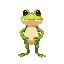 frog