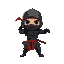 a ninja