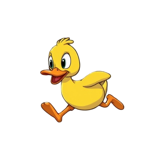 stupid-looking duck running