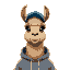 humanoid llama with warm, light brown fur, wearing a grey hoodie and a forward blue baseball cap