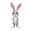 rabbit