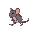 a rat walking