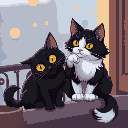two cats playing on the balcony, both have yellow eyes but one cat has all black fur and the other one is a black and white siberian cat