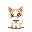 cute cat