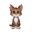 make a cat facing the camera