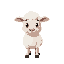 cute carton sheep