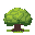 bush